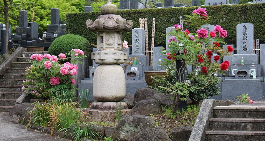 墓苑の風景 1